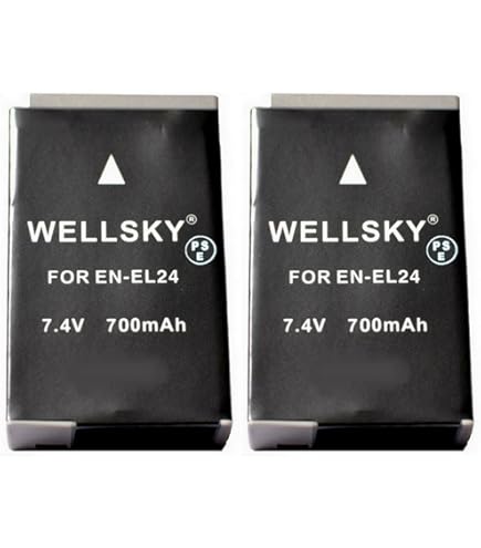 Amazon.co.jp: Nikon 高倍率ズームレンズ 1 NIKKOR VR 10-100mm f/4